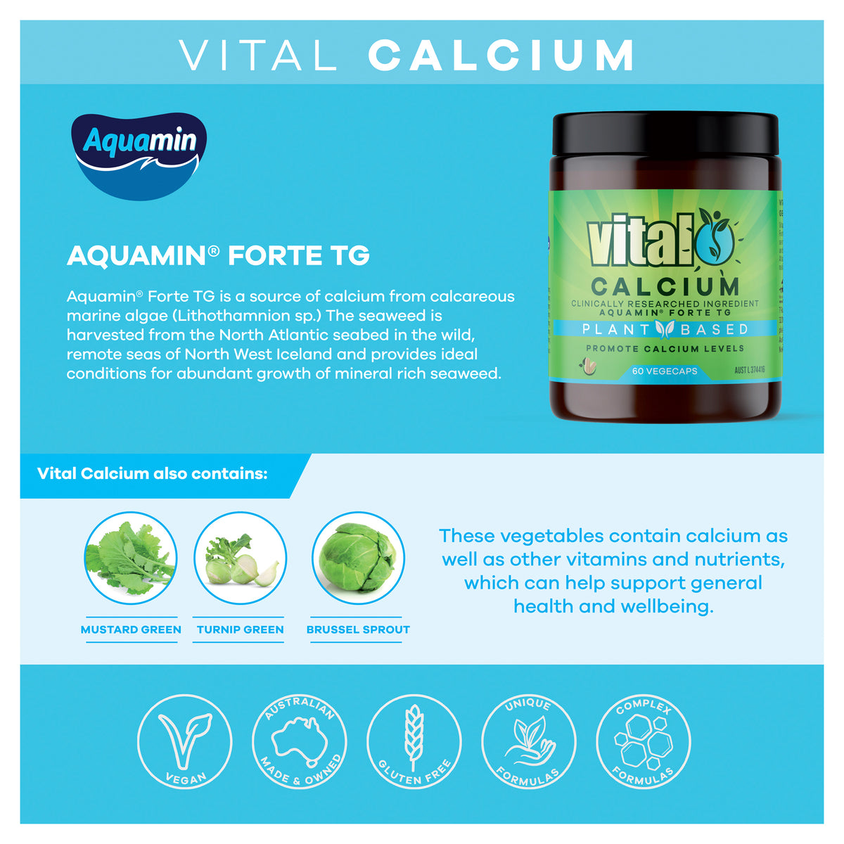 VITAL Calcium 60vcaps