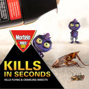 Mortein PowerGard Multi Insect Killer 300g