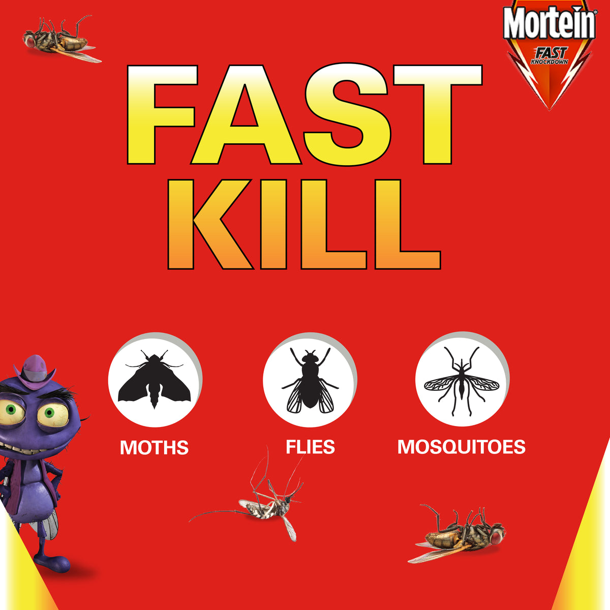 MORTEIN Odourless Fly & Mosquito Killer spray 350g