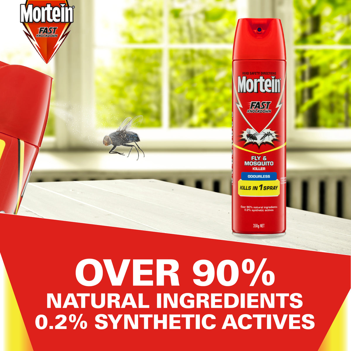 MORTEIN Odourless Fly & Mosquito Killer spray 350g