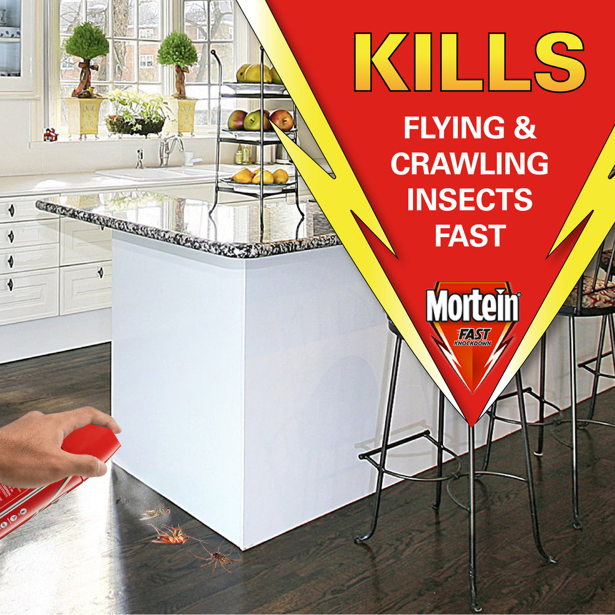 MORTEIN Fast Knockdown Fly Insect Killer 300g