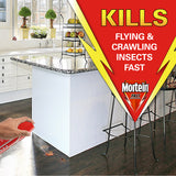 MORTEIN Fast Knockdown Fly Insect Killer 300g