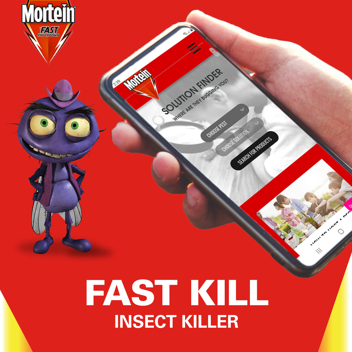 MORTEIN Fast Knockdown Fly Insect Killer 300g