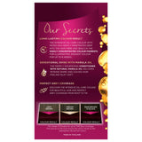 Schwarzkopf Napro Palette 1-08 Black Burgundy