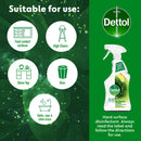 Dettol Tru Clean Antibacterial Multipurpose Cleaning Trigger Zesty Citrus and Lemongrass 500mL