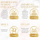 M&P Harmony My Beauty Oral Pwd 80g