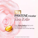 Pantene Micellar Water Rose Water Shampoo 530ml