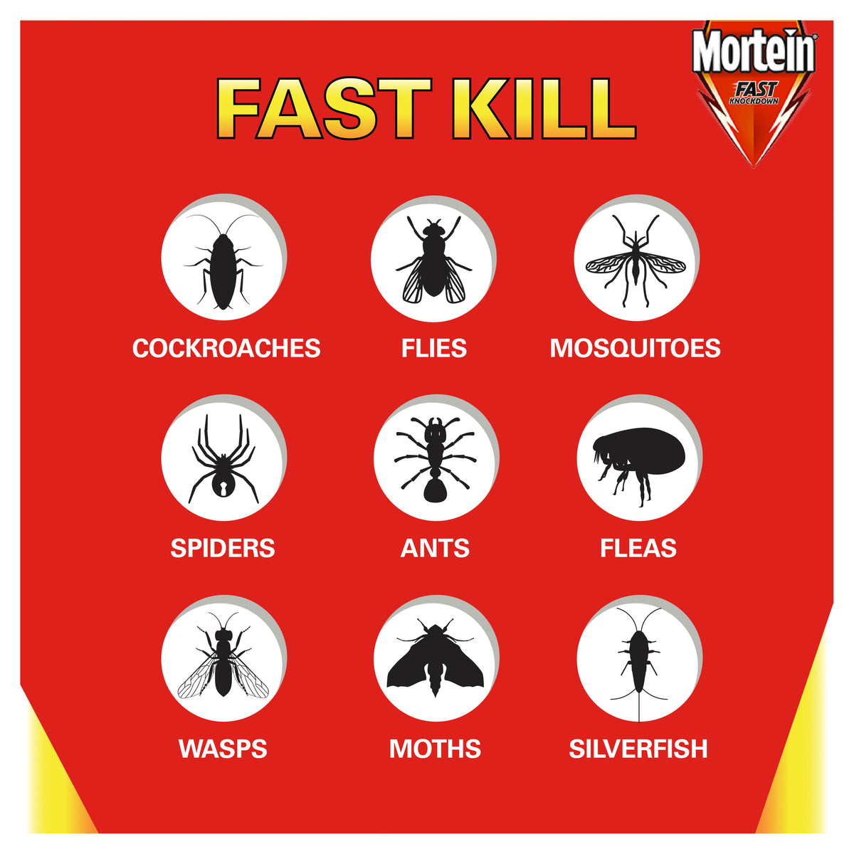 MORTEIN Fast Knockdown Fly Insect Killer 300g