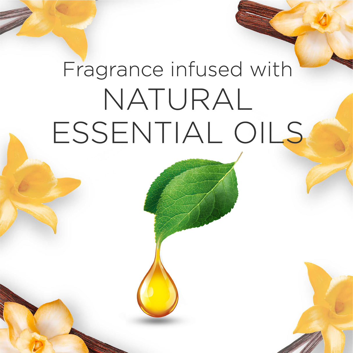 AIRWICK Essential Oils Electric Vanilla & Cashmere Prime 21mL