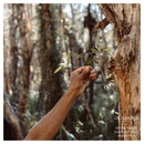 Oil Garden Defence 25ml