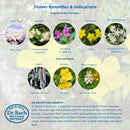 Rest & Quiet Calm Pastilles Orange 50g