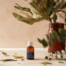 Oil Garden Sleep No Lavender 25ml