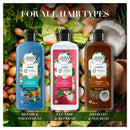 Herbal Essences Bio Renew Volume White Grapefruit Mint Shampoo 400ml