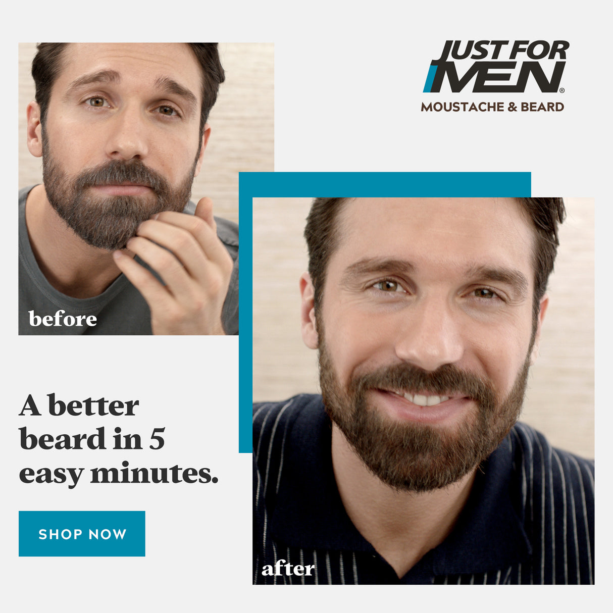 Just For Men Moustache & Beard Brush-In Colour Gel Real Black