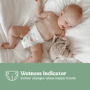 Huggies Pure Care Ultimate Nappy 3 Crawler Unisex 72pk