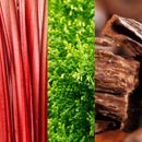 Joop! Go EDT 100ml for Men