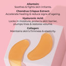 MCoBeauty Age Resist Hydrogel Night Repair Eye Masks 5 pack