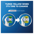 Oral B Pro 300 Electric Toothbrush Mint