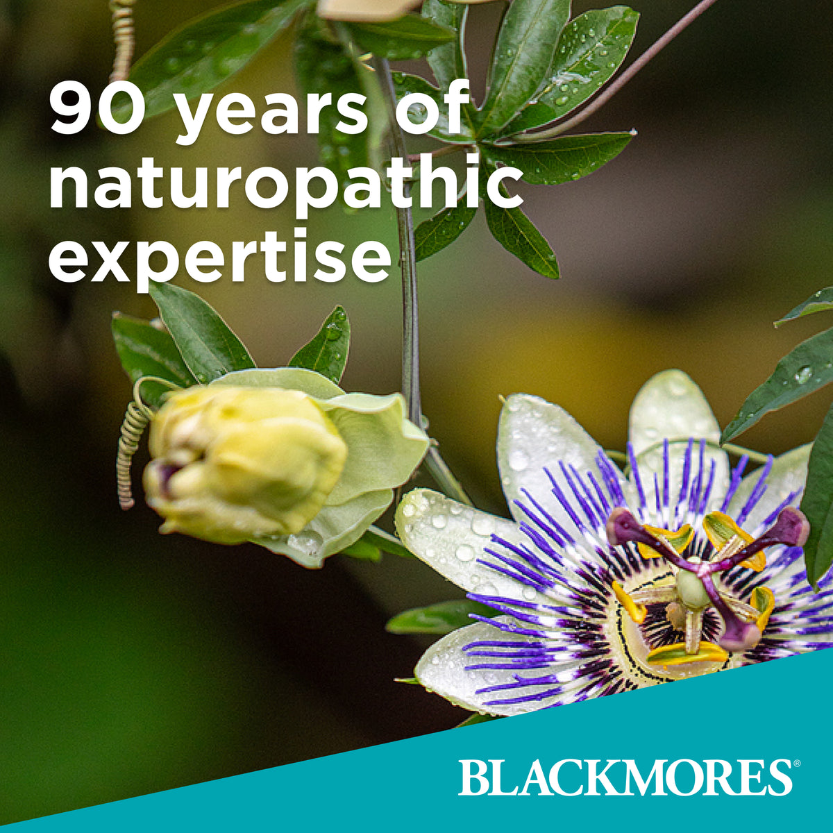 Blackmores Sustained Release Women Multivitamins 90 Tablets
