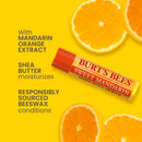 Burts Bees 100% Natural Sweet Mandarin Lip Balm 4.25g