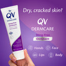 Ego QV Dermcare Sting-Free Ointment 200g