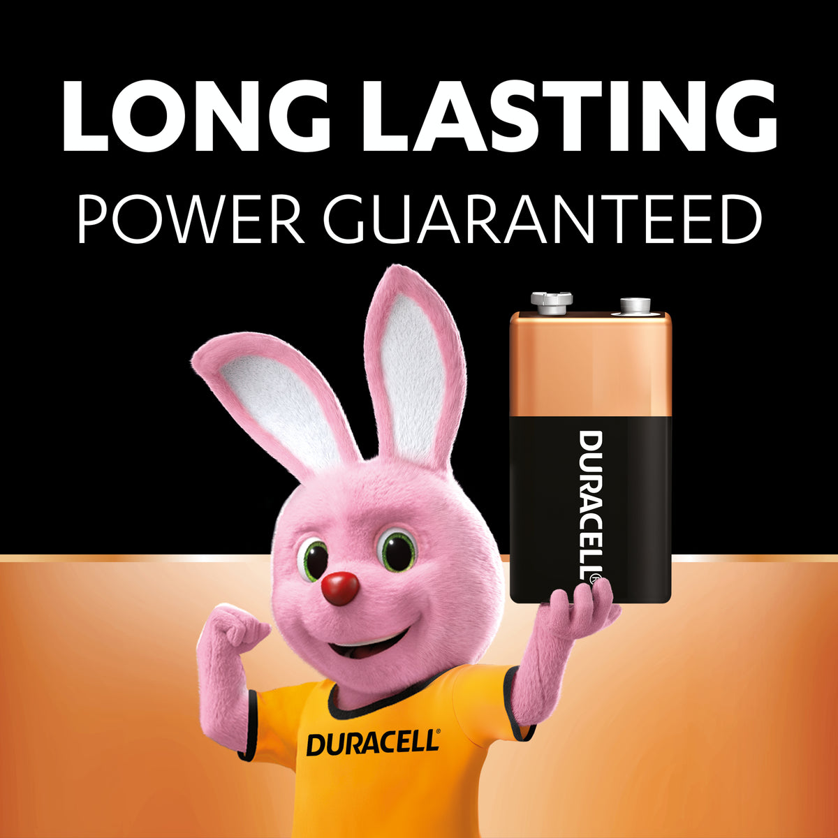 Duracell Coppertop 9V Alkaline Batteries 2 pack