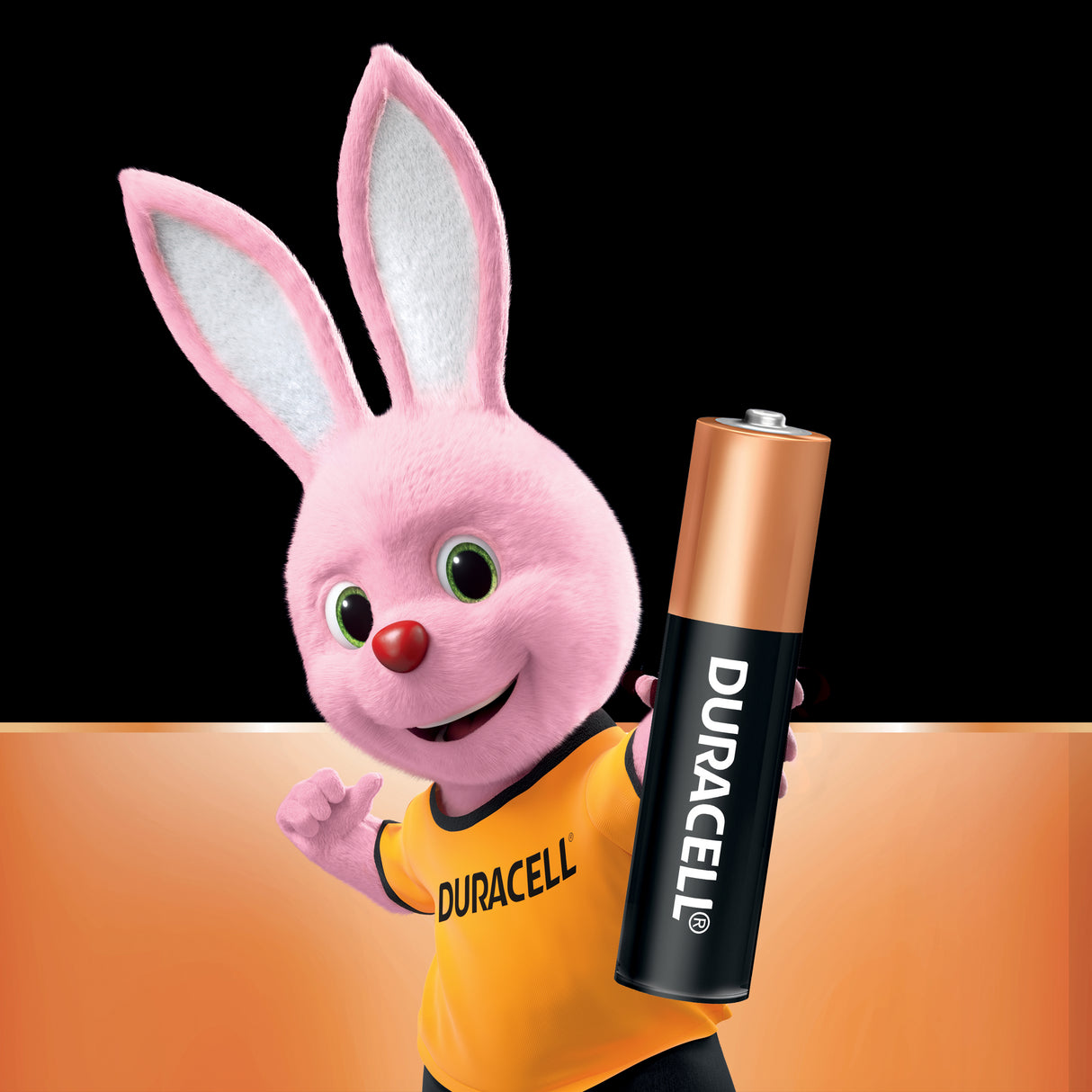Duracell Coppertop AAA Alkaline Batteries 8 Pack
