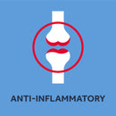 Nurofen Ibuprofen 200mg 24 Tablets