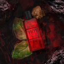 Davidoff Hot Water EDT 110ml for Men