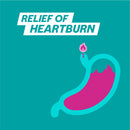 Gaviscon Chewable Tablets Peppermint Heartburn & Indigestion Relief 24 Pack