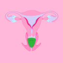 Hello. Low Cervix Cup Green M