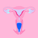 Hello. High Cervix Cup Bright Blue M