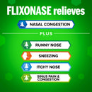 Flixonase Allergy 24 Hour Nasal Spray 120 Doses