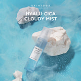 SKIN1004 Madagascar Centella Hyalu Cica Mist 120ml