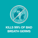 Listerine Cool Mint Antibacterial Mouthwash 500mL