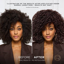 L'Oréal Paris Préférence Permanent Hair Colour - 3.12 Toronto (Intense Cool Dark Brown)