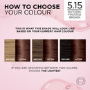 L'Oréal Paris Excellence Crème Permanent Hair Colour - 5.15 Natural Frosted Brown