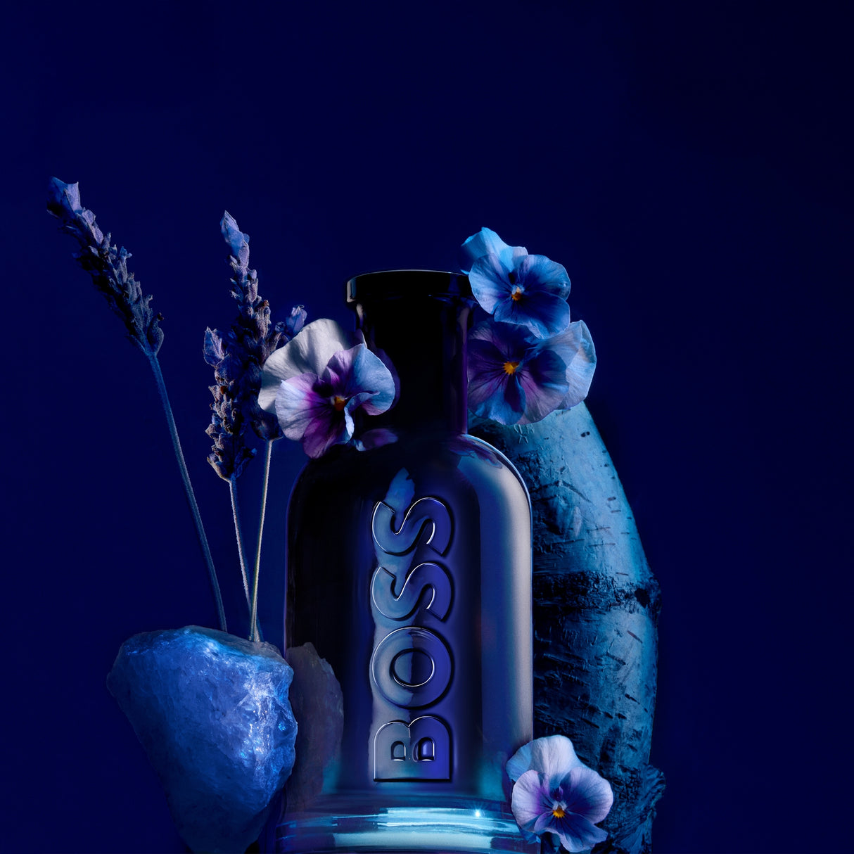 BOSS Bottled Black EDT 100ml