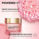 L'Oréal Paris Golden Age Rosy Re-Densifying Day Cream