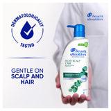 Head & Shoulders Itchy Scalp Shampoo 660ml