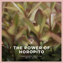 Kolorex Vaginal Care Cream 50g