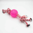 HB&Co Pet Toy Ball Tug Rope Assorted
