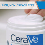 CeraVe Moisturising Cream 170 g