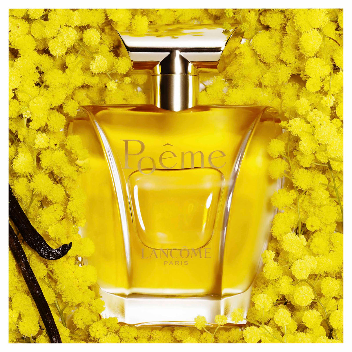 Lancôme Poeme Eau De Parfum Vapo 100ml