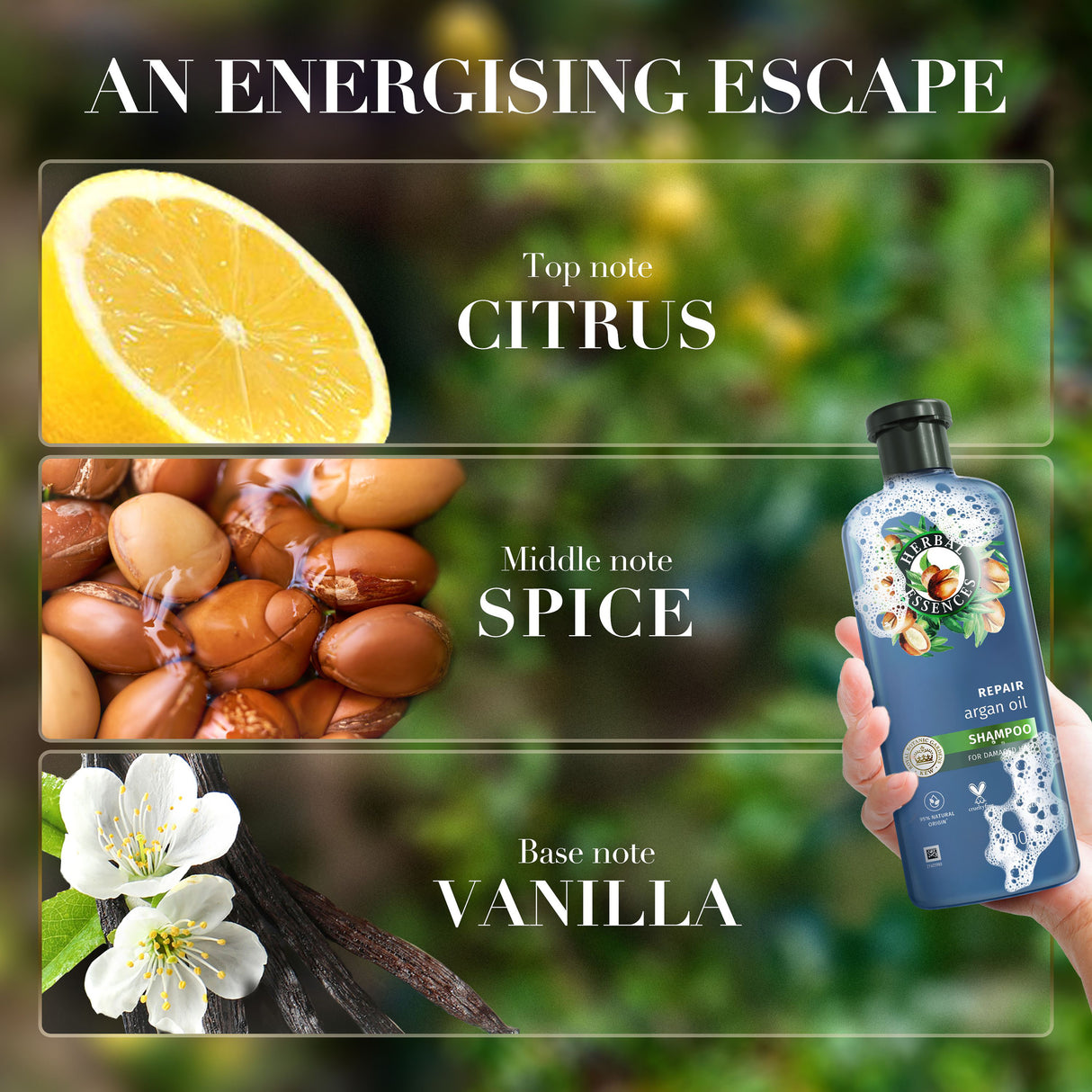 Herbal Essences Bio: Renew Repairing Shampoo Argan Oil Of Morocco