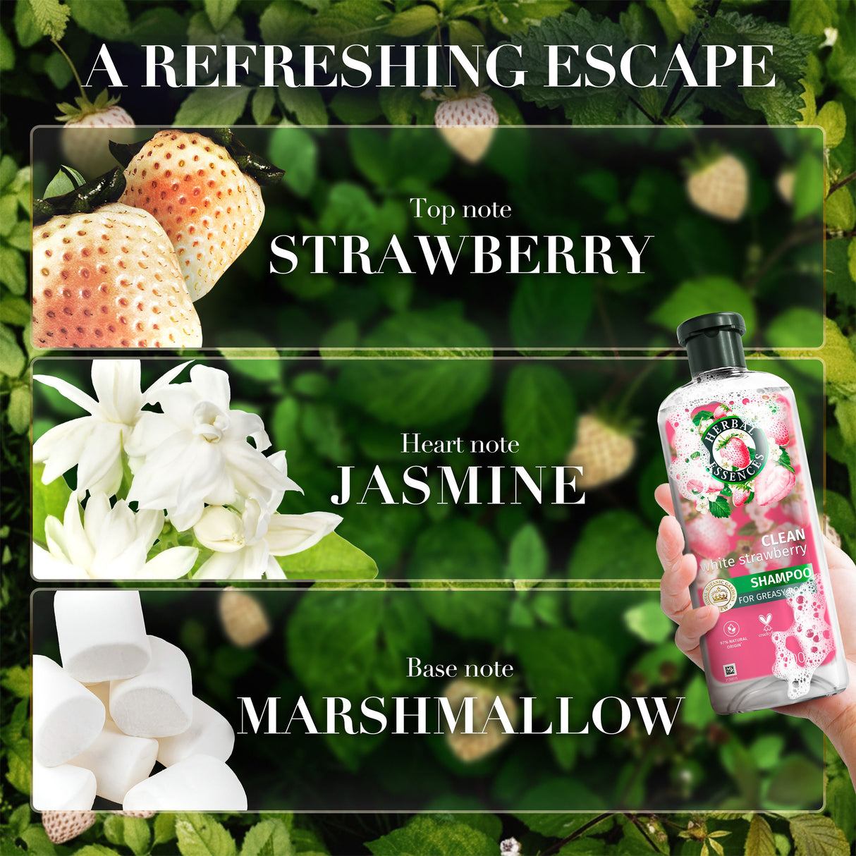 Herbal Essences Bio: Renew Cleansing Conditioner White Strawberry & Mint 400ml