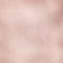 Sally Hansen Salon Effects Perfect Manicure Press On Nails  Out Of This Pearl