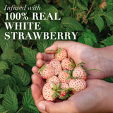 Herbal Essences Bio Renew White Strawberry & Mint Shampoo 400ml