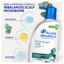 Head & Shoulders Itchy Scalp Shampoo 660ml
