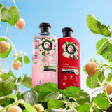 Herbal Essences Bio: Renew Cleansing Conditioner White Strawberry & Mint 400ml